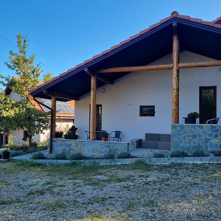 Pensiunea Agroturistica Diana Măgura Exterior foto