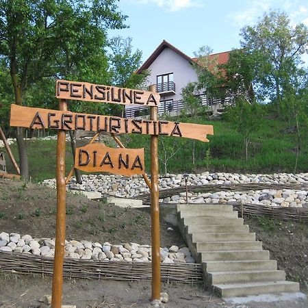 Pensiunea Agroturistica Diana Măgura Exterior foto