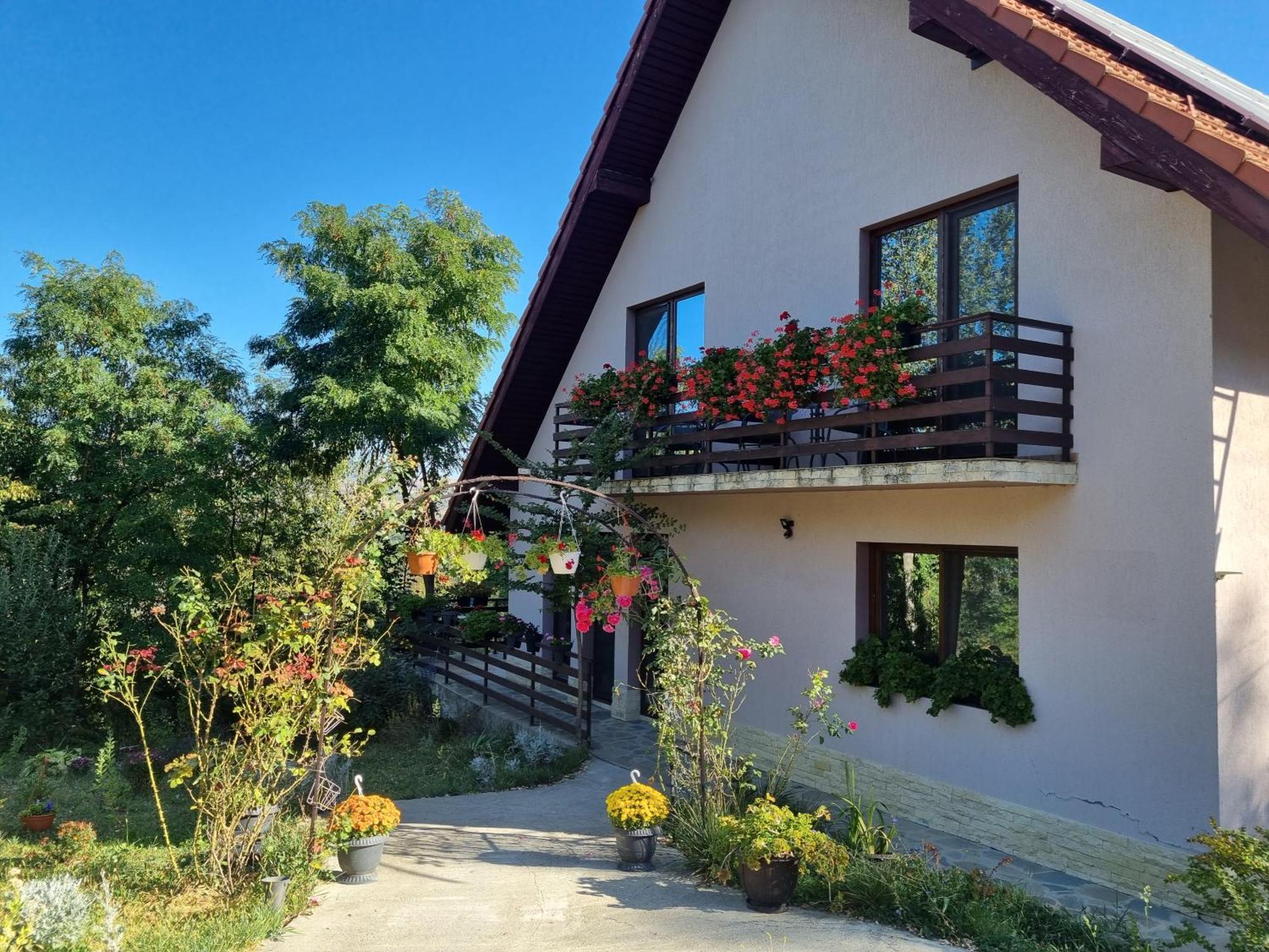 Pensiunea Agroturistica Diana Măgura Exterior foto