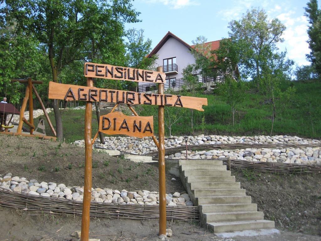 Pensiunea Agroturistica Diana Măgura Exterior foto