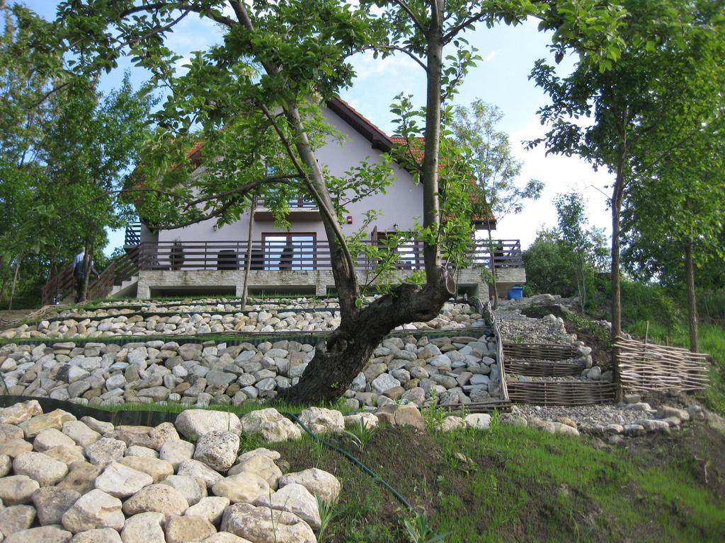 Pensiunea Agroturistica Diana Măgura Exterior foto