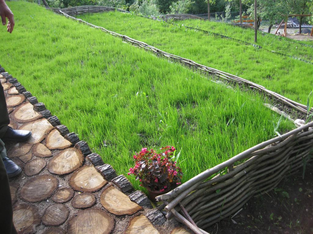 Pensiunea Agroturistica Diana Măgura Exterior foto