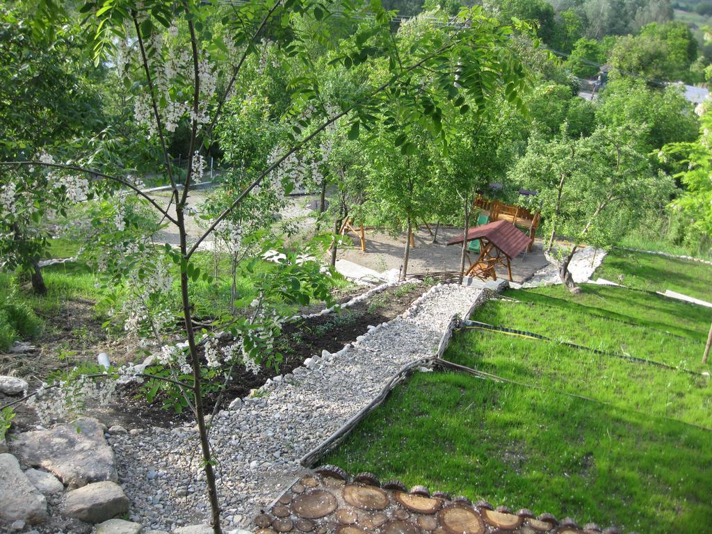 Pensiunea Agroturistica Diana Măgura Exterior foto