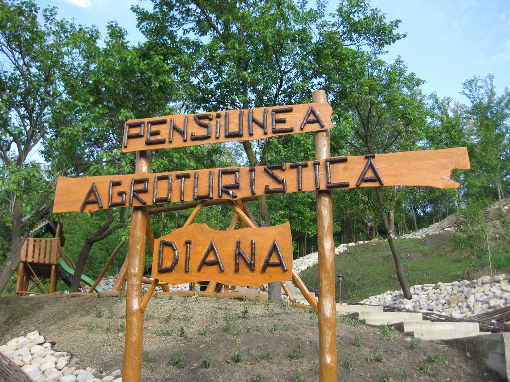 Pensiunea Agroturistica Diana Măgura Exterior foto