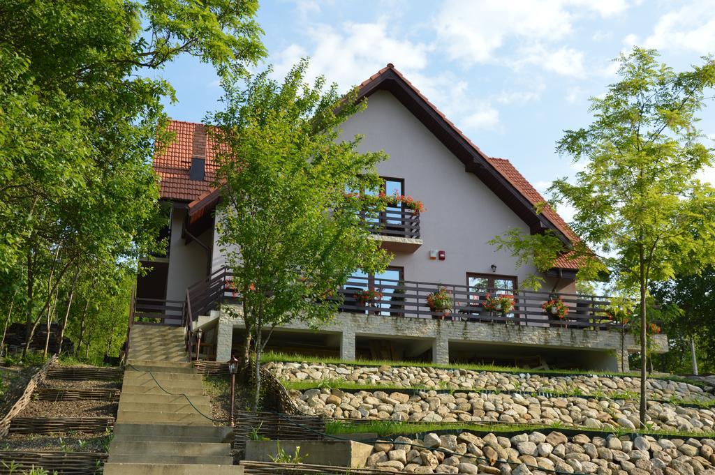Pensiunea Agroturistica Diana Măgura Exterior foto